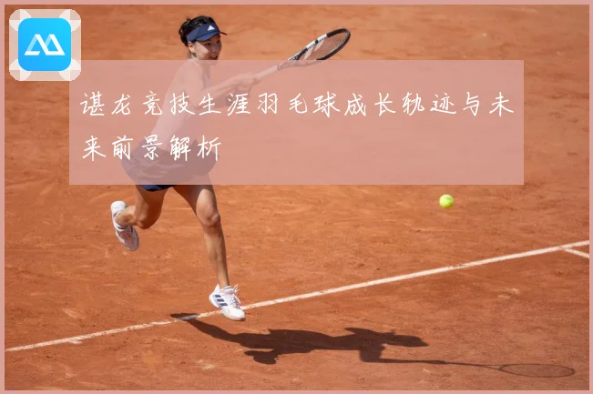 谌龙竞技生涯羽毛球成长轨迹与未来前景解析