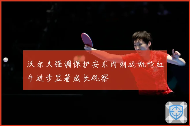 沃尔夫强调保护安东内利迈凯伦红牛进步显著成长观察