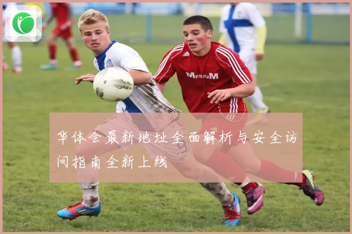 华体会最新地址全面解析与安全访问指南全新上线