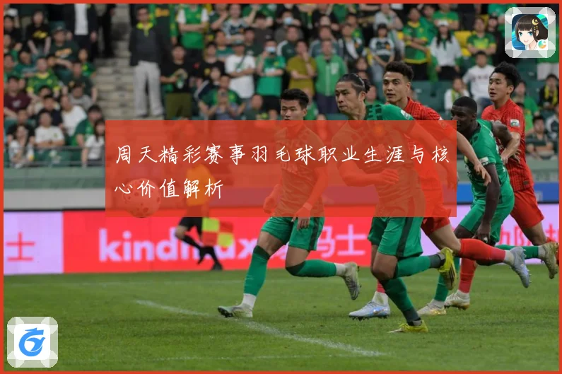周天精彩赛事羽毛球职业生涯与核心价值解析