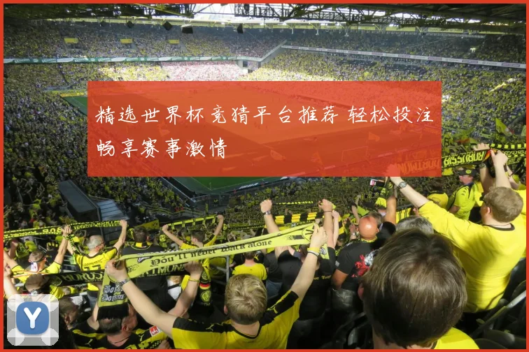 精选世界杯竞猜平台推荐 轻松投注畅享赛事激情