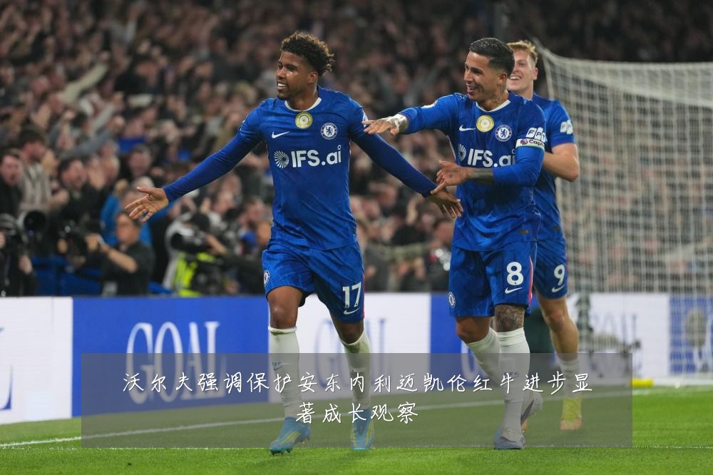 沃尔夫强调保护安东内利迈凯伦红牛进步显著成长观察