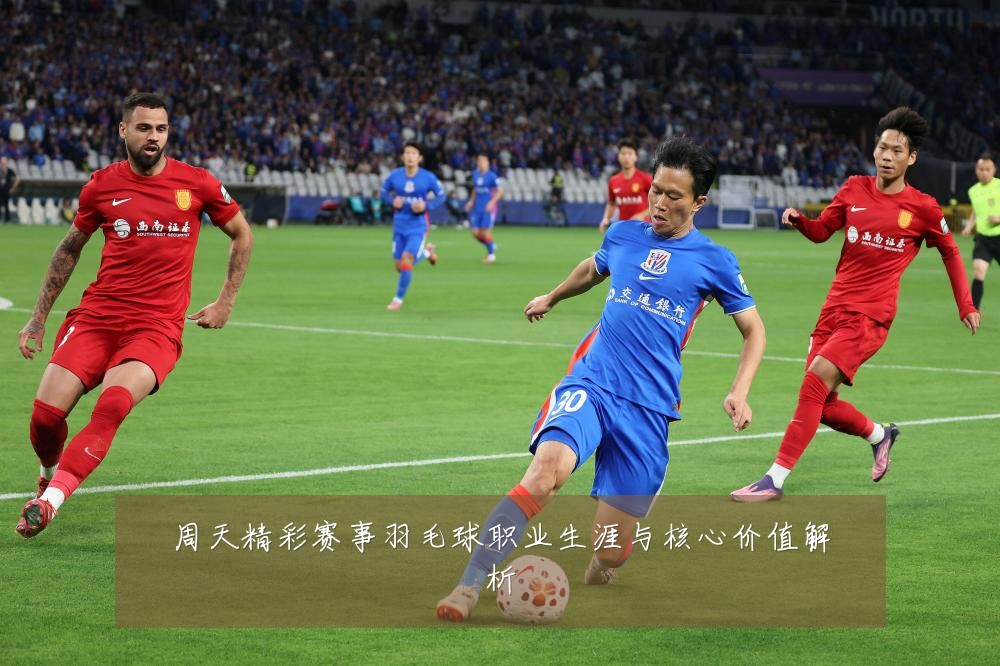 周天精彩赛事羽毛球职业生涯与核心价值解析